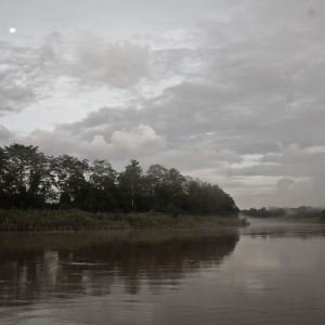 11-borneo-0869