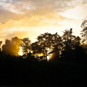 12-borneo-0875