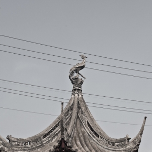 06_asiatripback_img_4868
