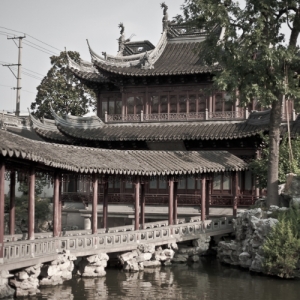 09_asiatripback_img_4890