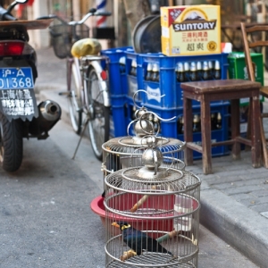 19_asiatripback_img_5318