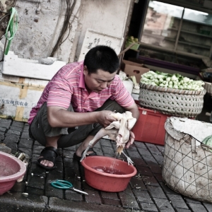 21_asiatripback_img_5333
