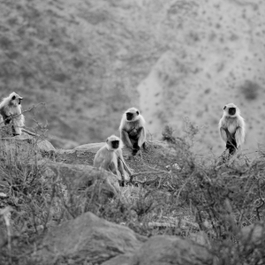 02-india_1-3585