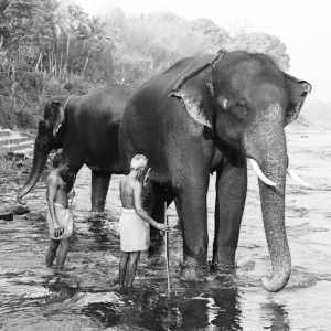 10-indiasw
