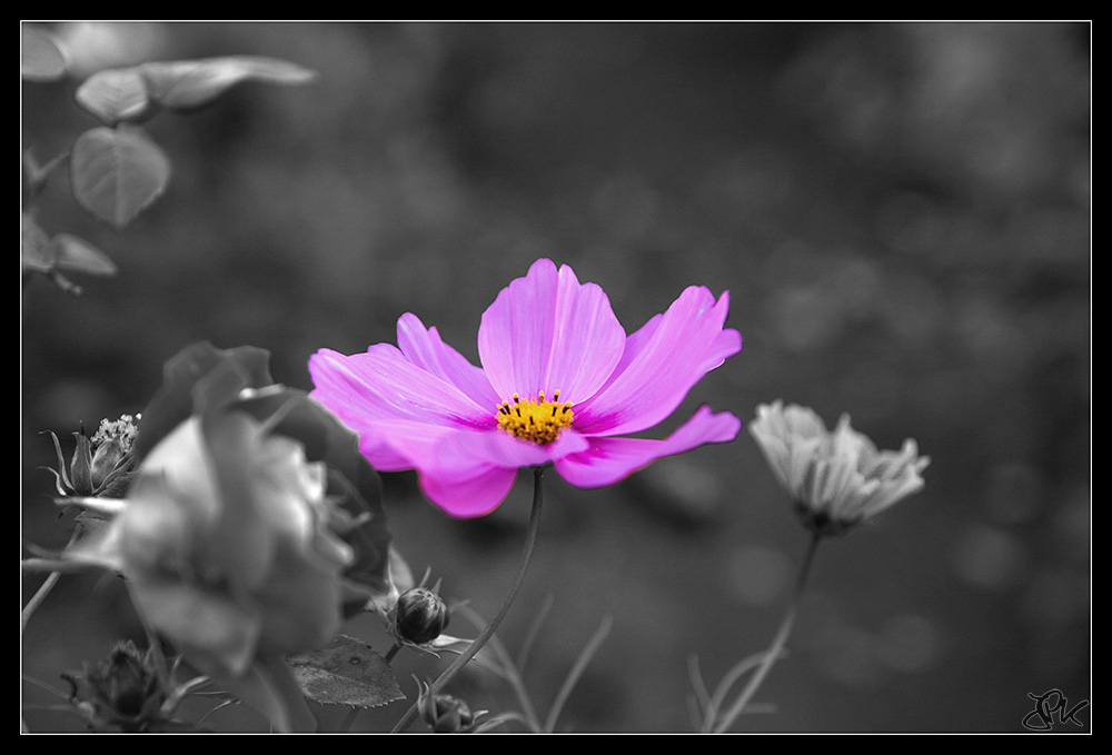 Eine kleine Variation…